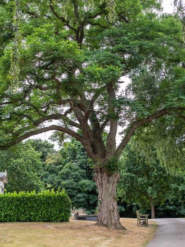 Babies Memorial Gardens